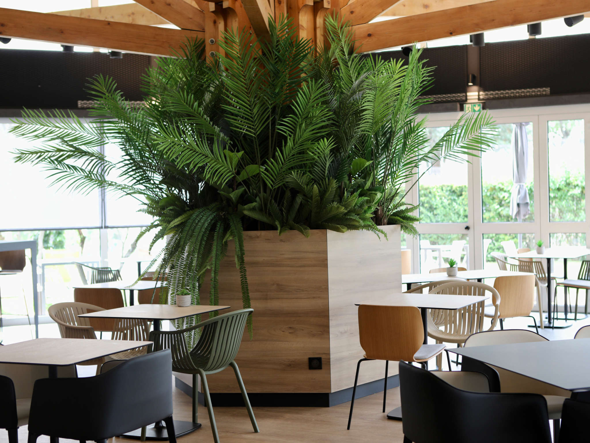 Photo 4 - Hotel IBIS